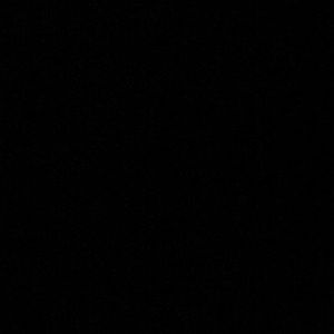 Meet your Posher, Lauryn